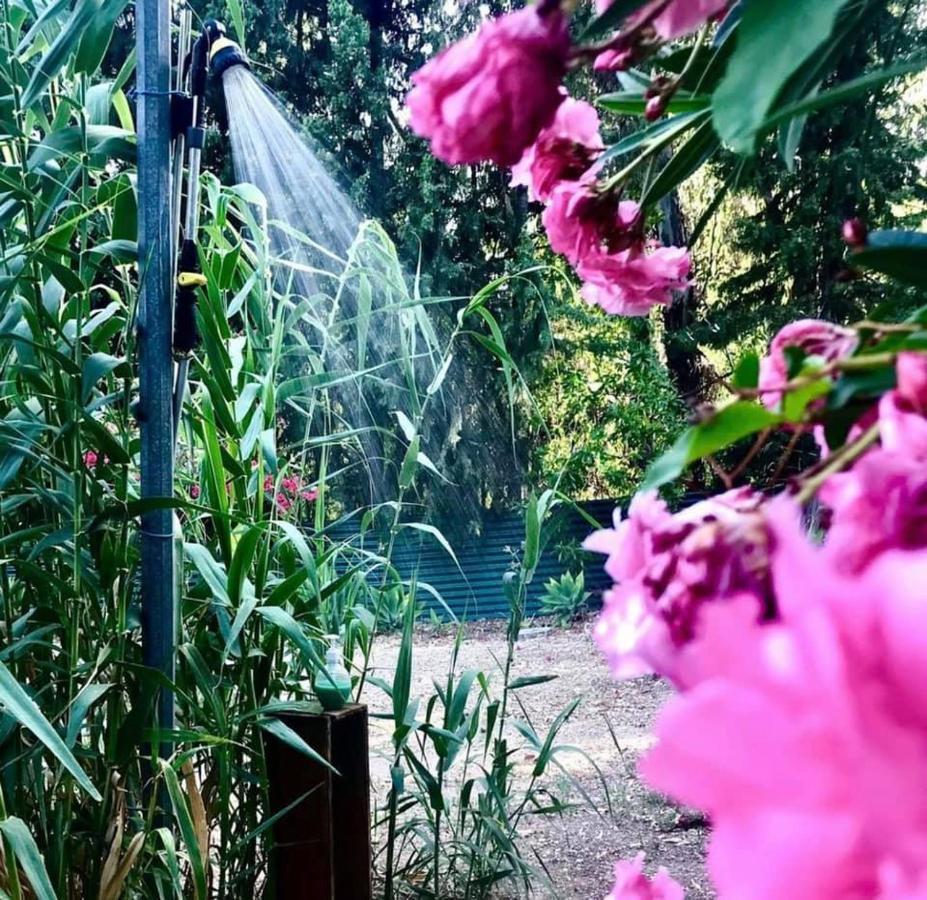 Casa Rural Con Piscina Viajar Con Mascota 가우신 외부 사진