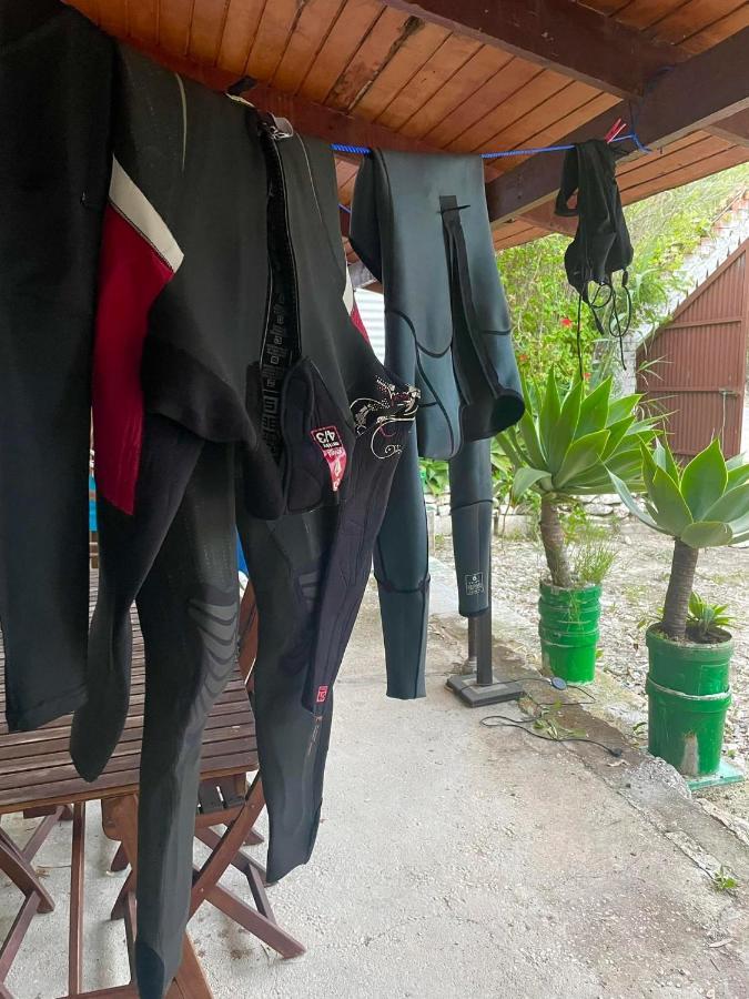 Casa Rural Con Piscina Viajar Con Mascota 가우신 외부 사진