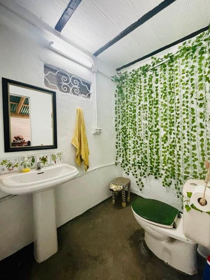 Casa Rural Con Piscina Viajar Con Mascota 가우신 외부 사진